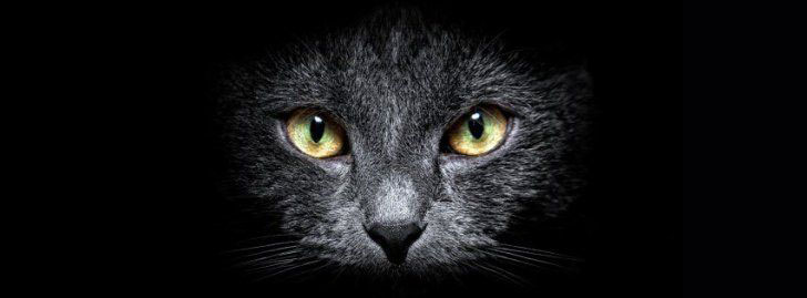 catgroup